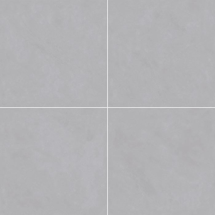 WS889.jpg