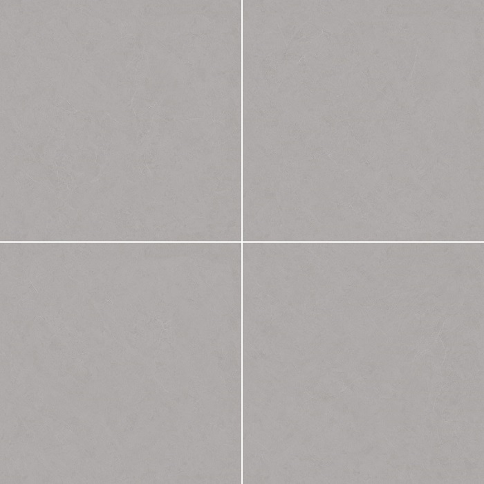 WS883.jpg
