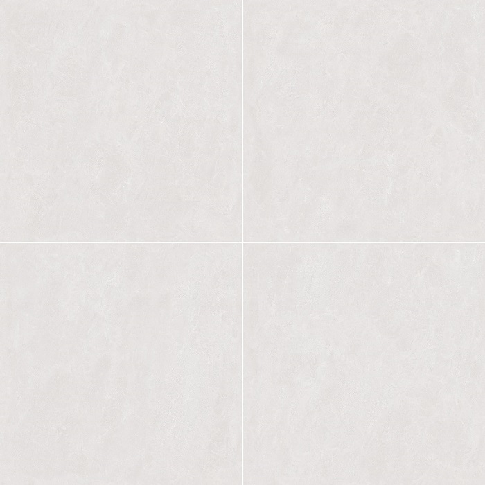 WS882.jpg