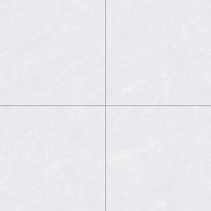 LG858.png